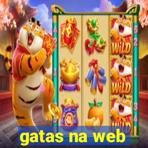 gatas na web